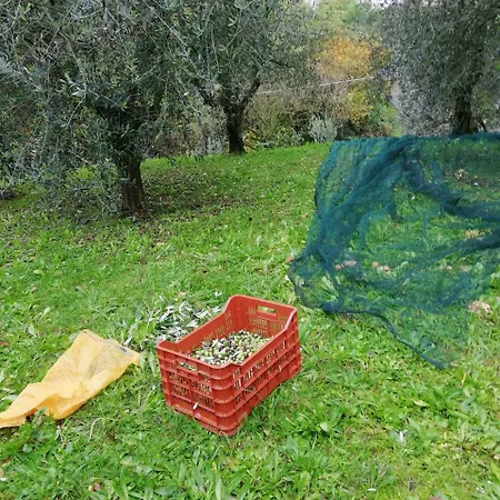 Cjase Des Aganis * Ragogna